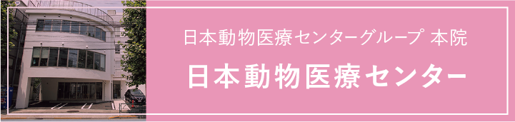 日本動物医療センターグループ本院
